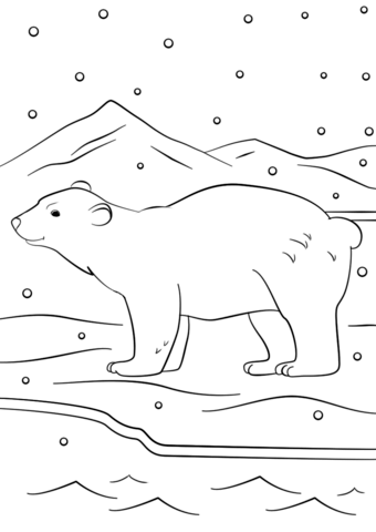 Winter Bear Coloring Page